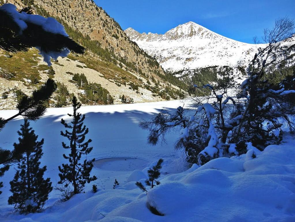 Sisquet Apartaments Erillavall Esterno foto